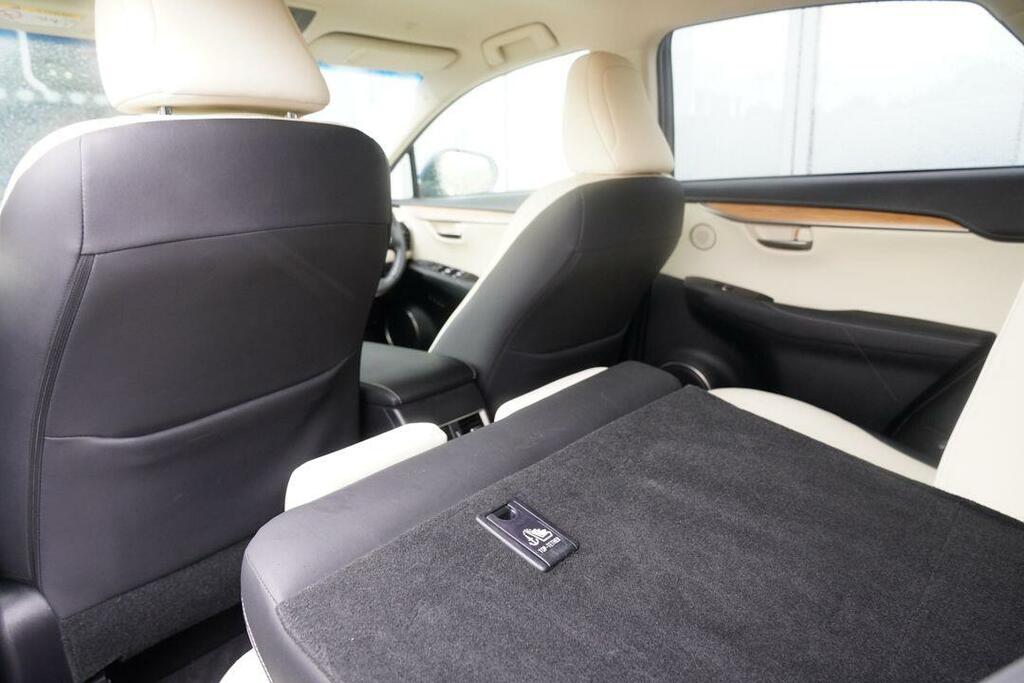 Lexus NX Suv Blue #19
