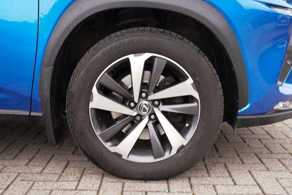 Lexus NX Suv Blue #23