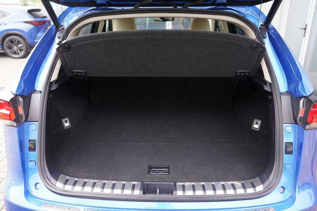 Lexus NX Suv Blue #14