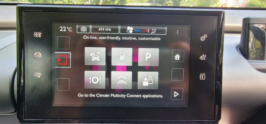 Citroen C4 Cactus Hatchback Grey #15