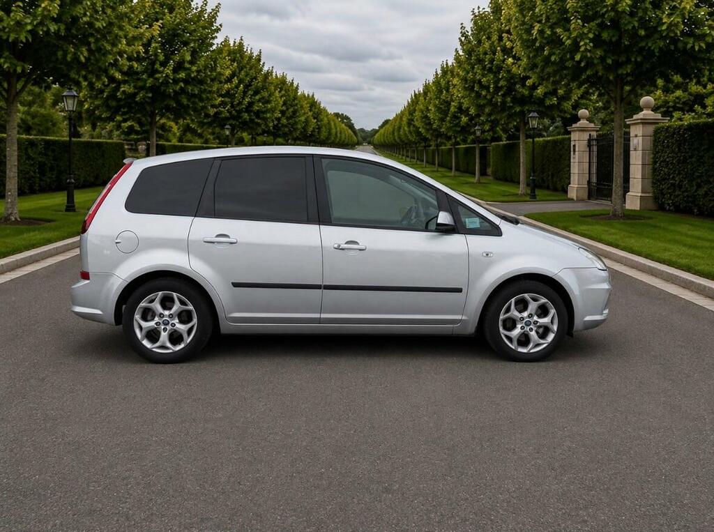 Ford C-Max Zetec Silver #2