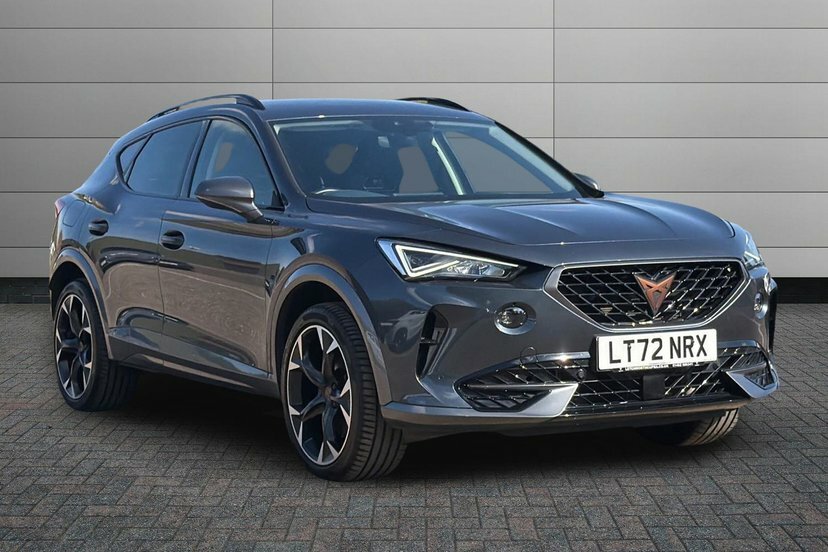 Cupra Formentor 2.0 Tsi V2 Suv Dsg 4Drive 190 Ps Grey