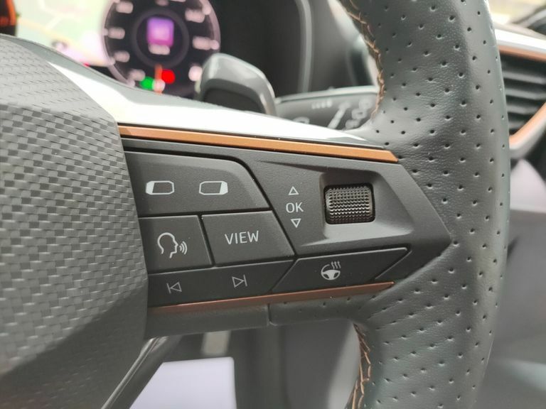 Cupra Formentor Automatic Grey #16