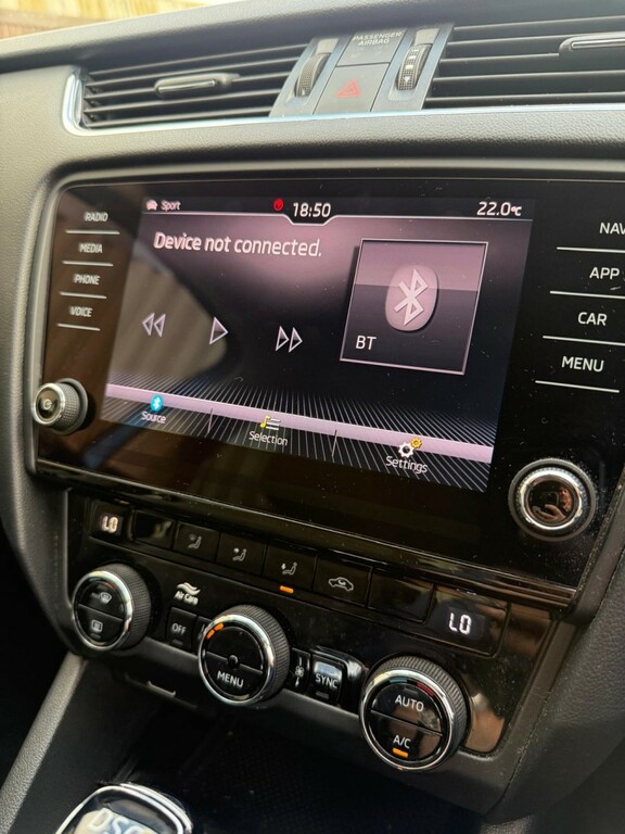 Skoda Octavia Silver #19