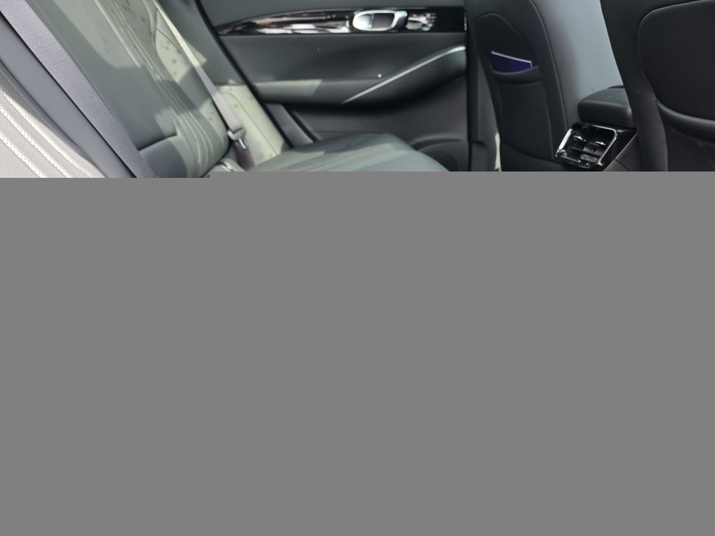 Geely Starray 1.5 Em-i Max Blue #2