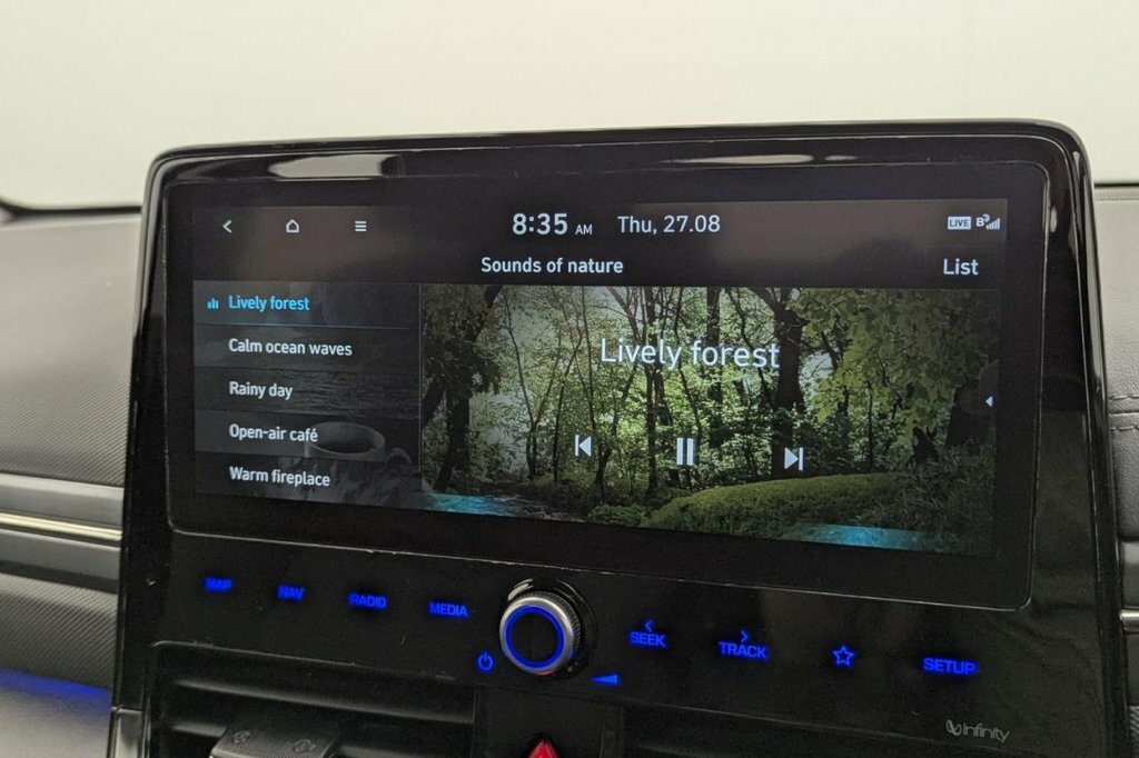 Hyundai Ioniq Premium Ev Grey #39