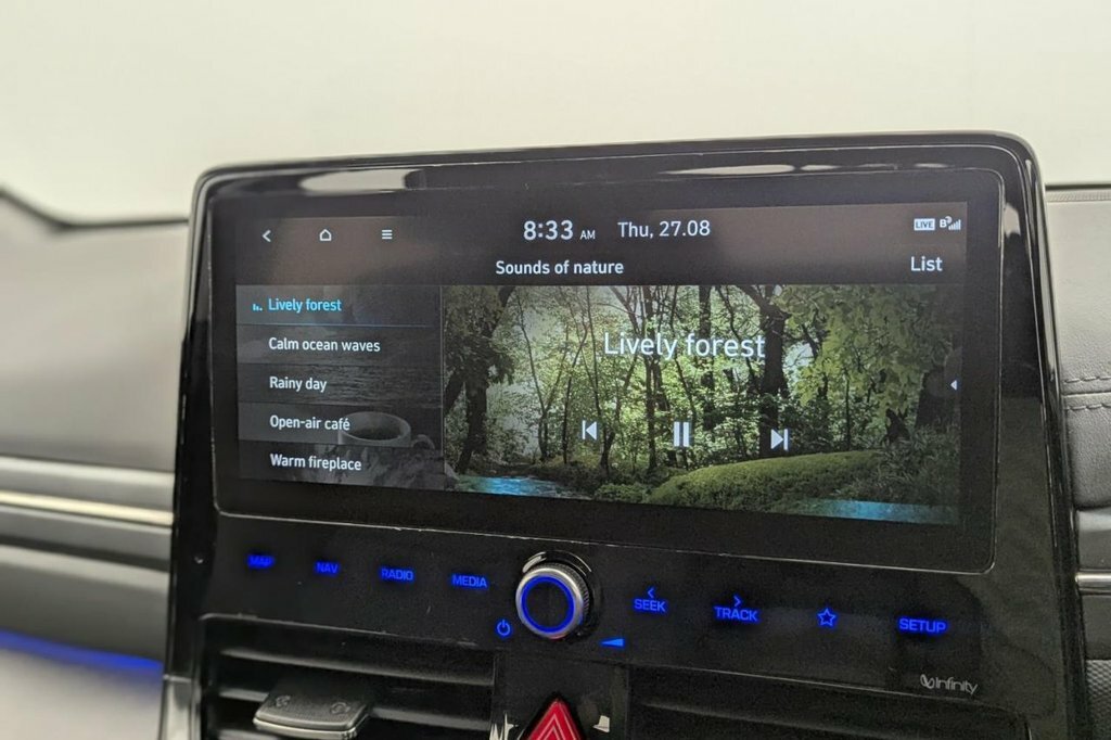Hyundai Ioniq Premium Ev Grey #15