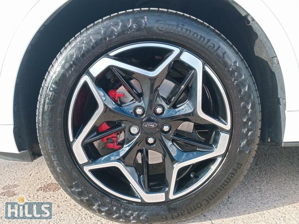 Ford Kuga Active Green #25