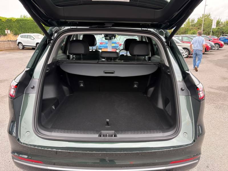 Geely Starray Emi Max Green #3