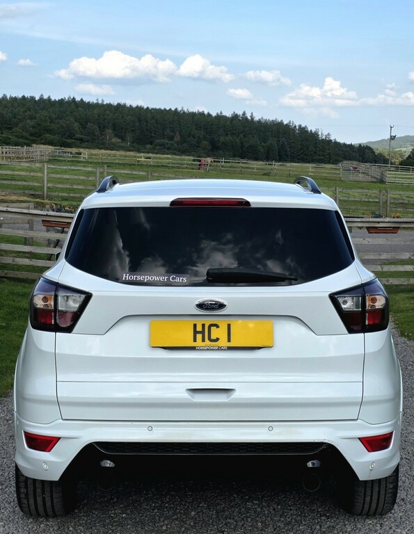 Ford Kuga Suv 2.0 Tdci Ecoblue St-line 2018 SK18YBB White #6