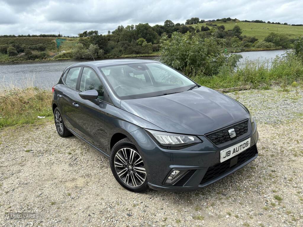 Seat Ibiza 1.0 Tsi 95 Se Technology Grey