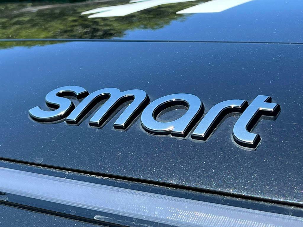 Smart #1 Brabus Grey #17