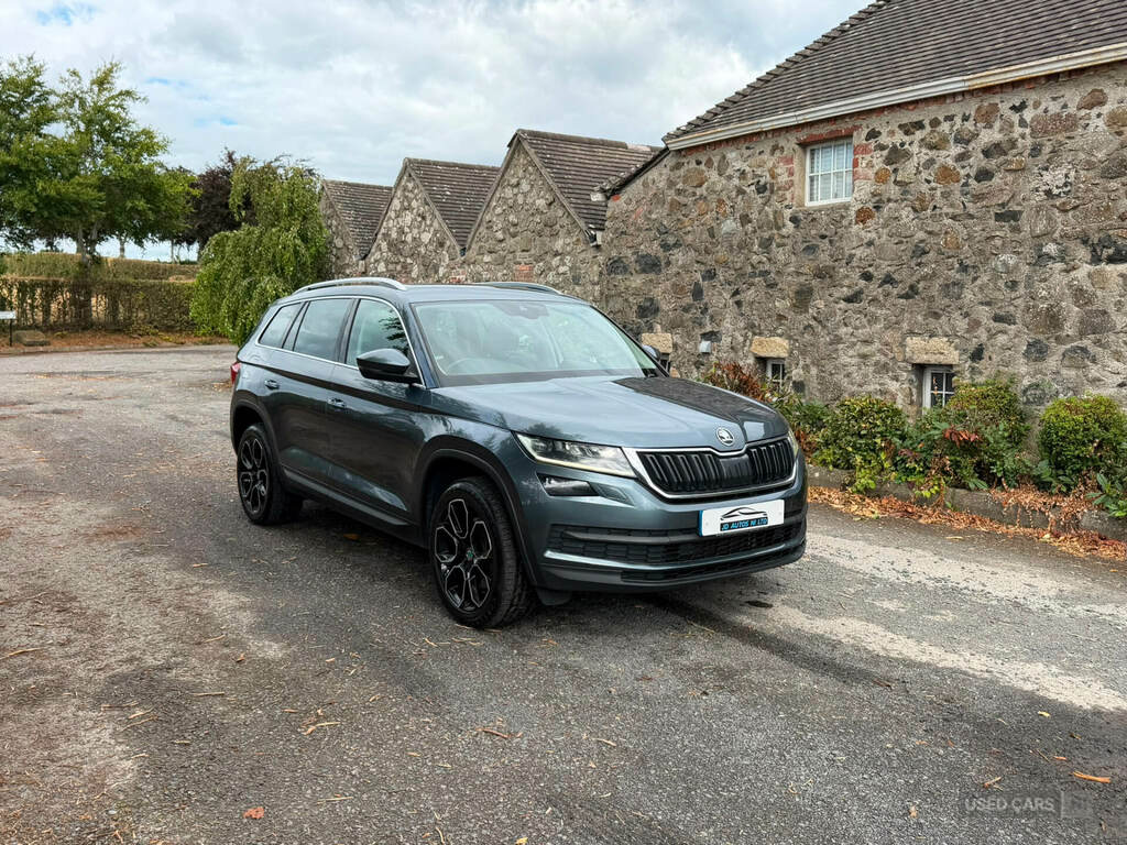 Skoda Kodiaq 2.0 Tdi 190 Edition 4X4 Dsg 7 Seat Grey