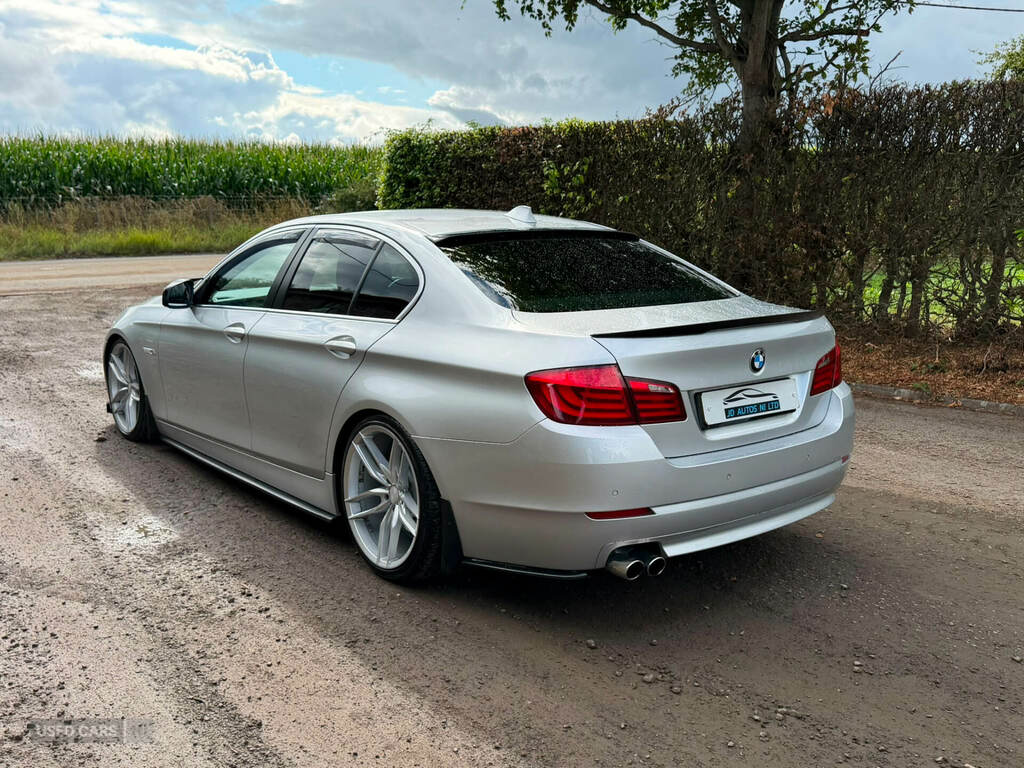 BMW 5 Series 520D Se Silver #6