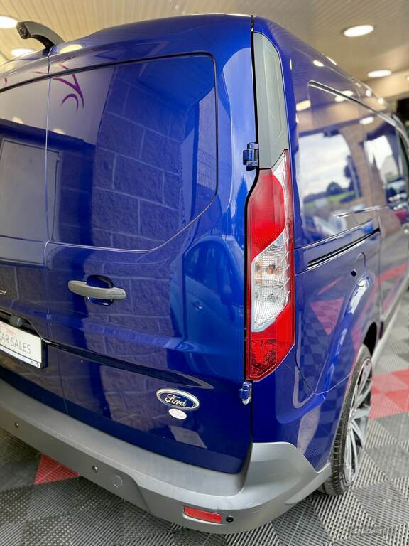 Ford Transit Connect Connect Panel White #11