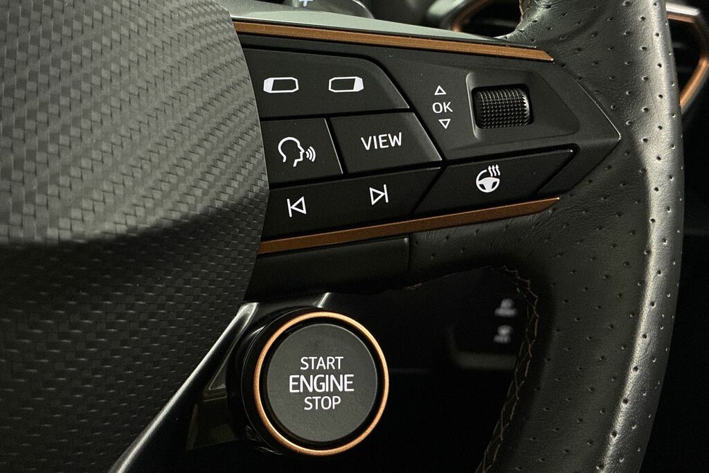 Cupra Formentor Petrol Grey #28