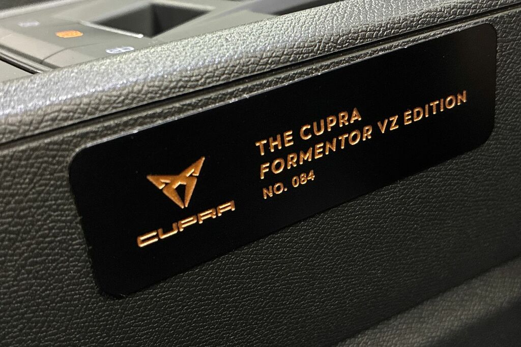 Cupra Formentor Petrol Grey #24