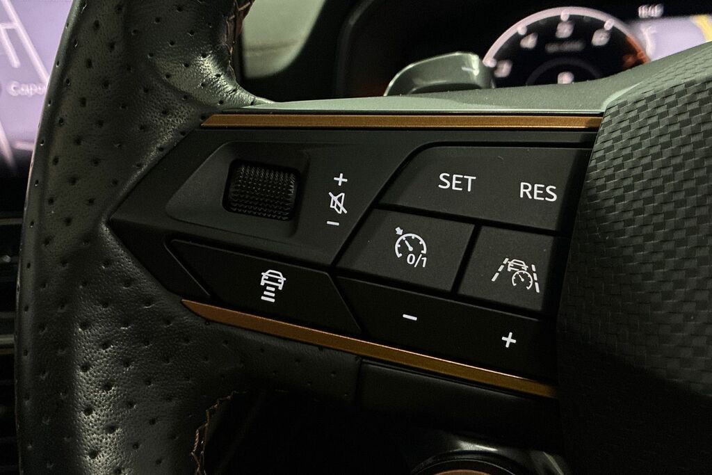 Cupra Formentor Petrol Grey #14
