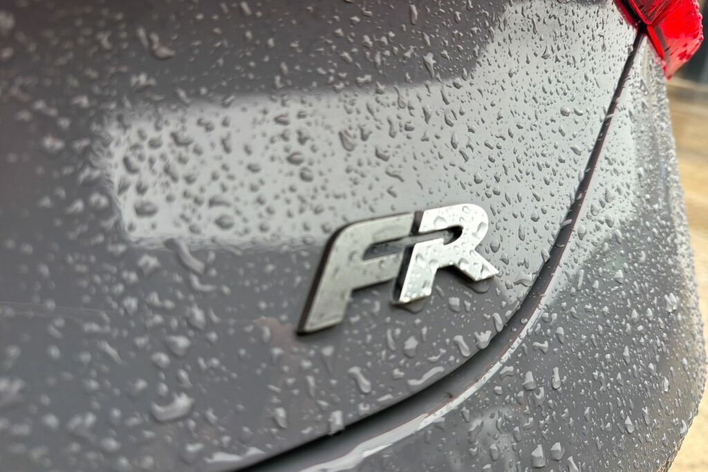 Seat Leon Fr Black Edition Grey #20