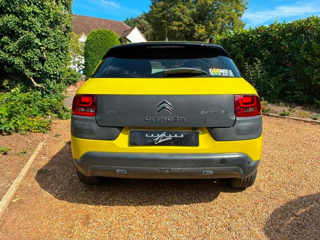 Citroen C4 Cactus Puretech Flair 2 Owners,sat Nav Fcsh Yellow #5