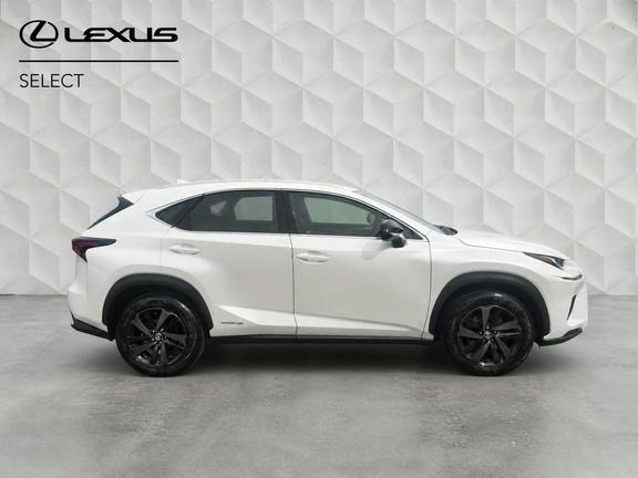 Lexus NX Nx With Sport Pack White #2