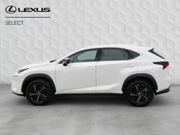 Lexus NX Nx With Sport Pack White #6