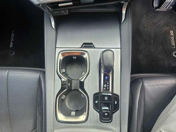 Lexus RX Plus Premium Plus Brown #30