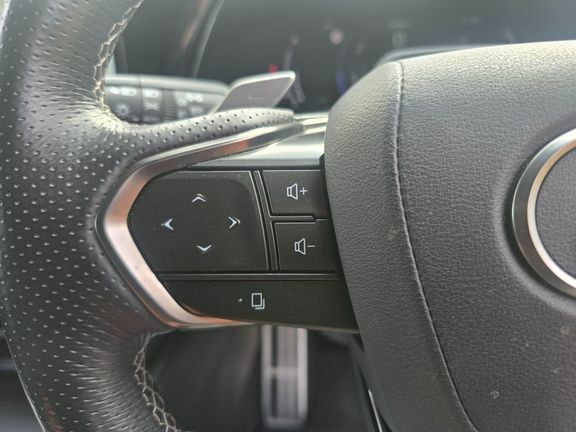Lexus RX Plus Premium Plus Brown #22