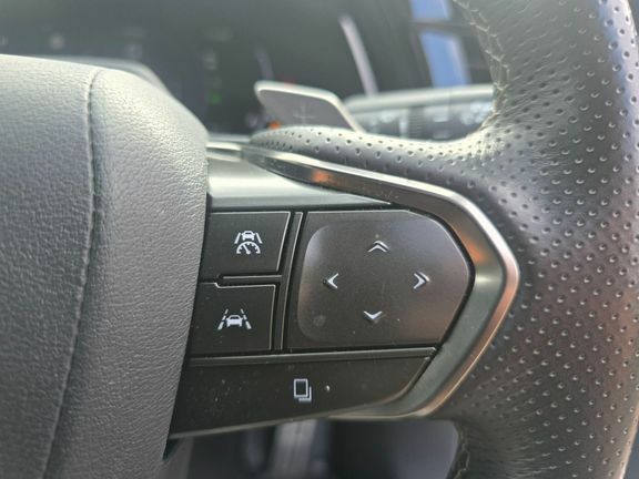 Lexus RX Plus Premium Plus Brown #23