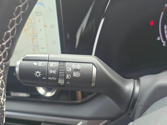 Lexus RX Plus Premium Plus Brown #21
