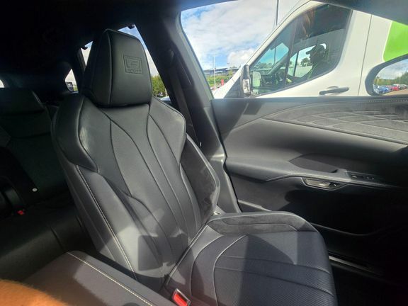 Lexus RX Plus Premium Plus Brown #33