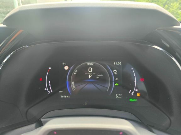 Lexus RX Plus Premium Plus Brown #18