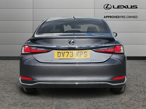 Lexus ES Premium Edition DV73XPS Grey #4