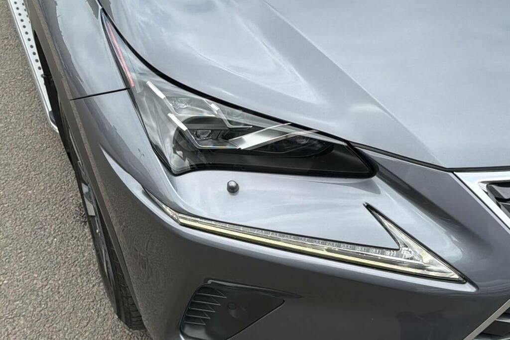 Lexus NX  Blue #19