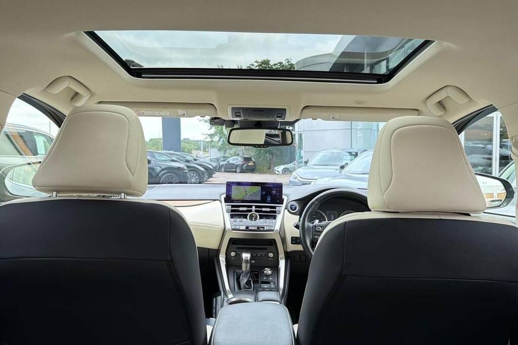 Lexus NX  Blue #18