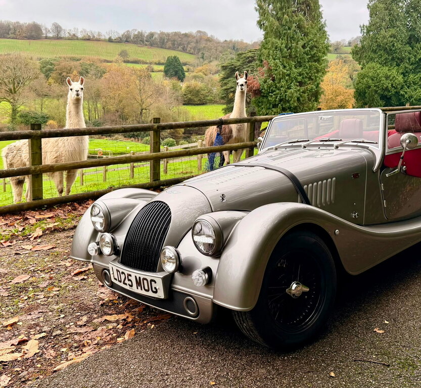 Morgan Plus Four Plus Four Green #27
