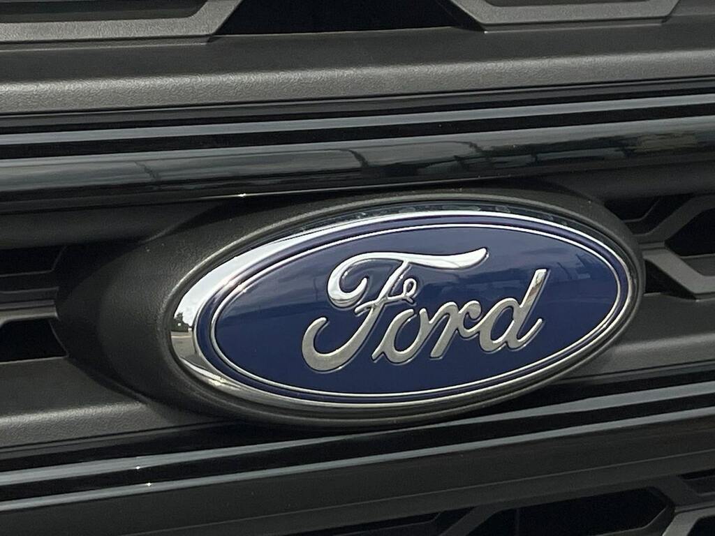 Ford Ecosport Active  #33