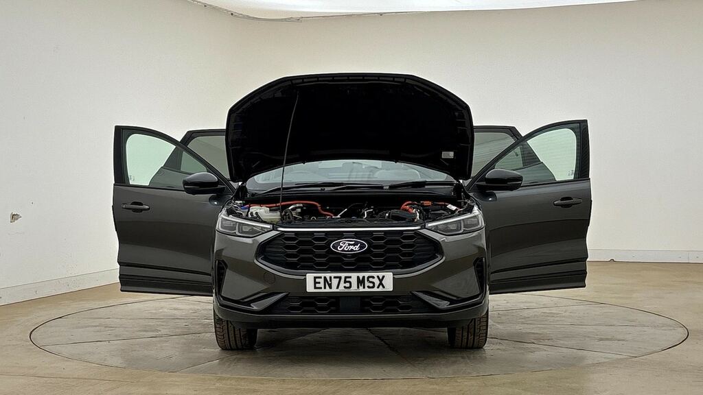 Ford Kuga Active Green #24