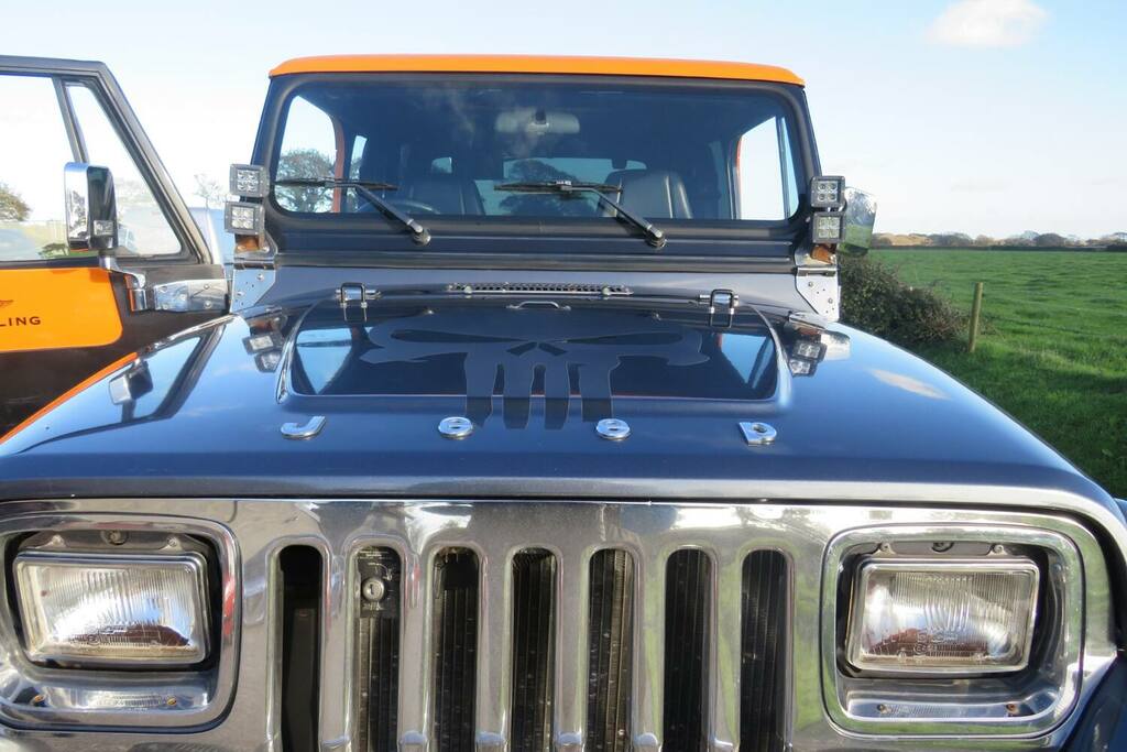 Jeep Wrangler 4.0 Sahara 181 Bhp Beige #18