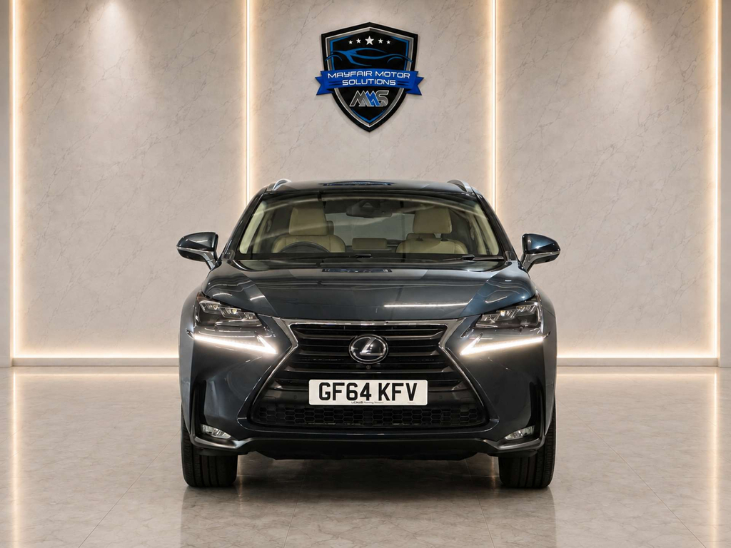 Lexus NX  White #8