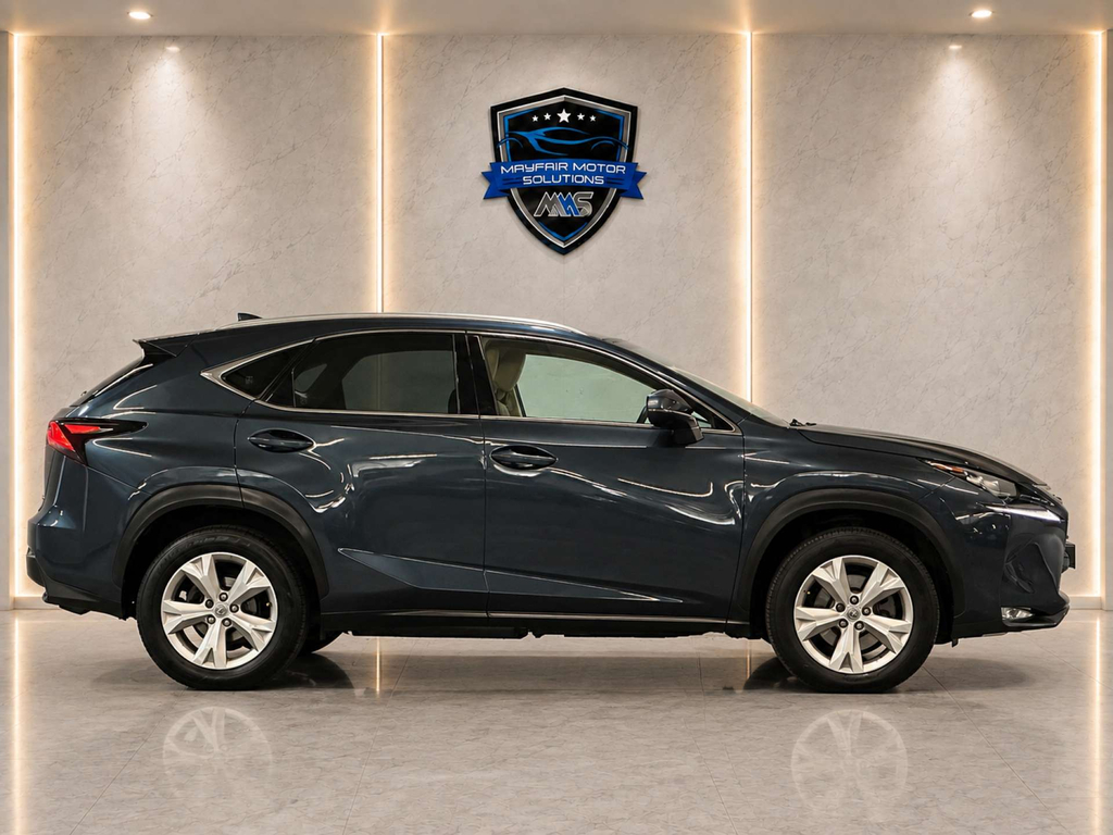 Lexus NX  White #5