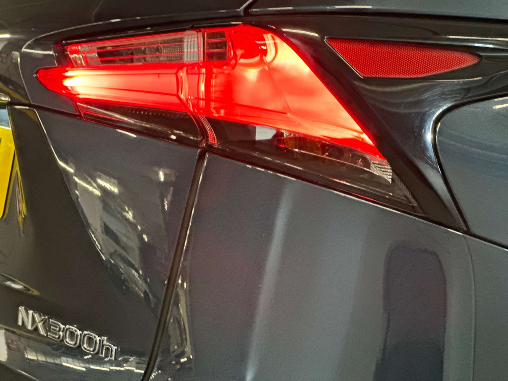 Lexus NX  White #21