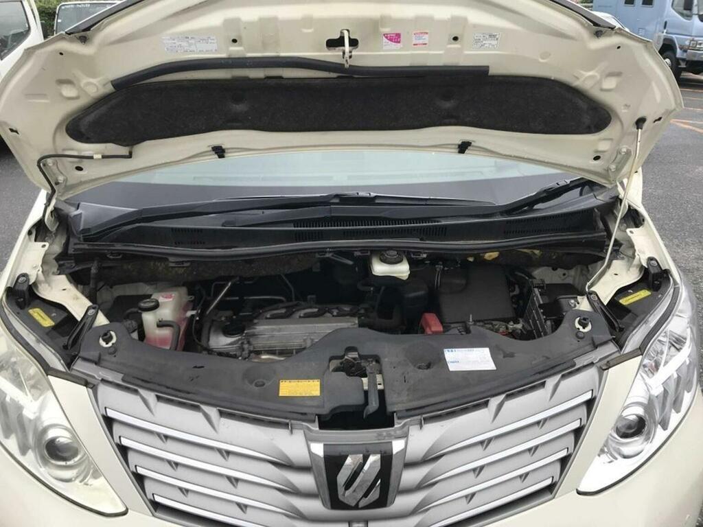 Toyota Alphard  White #7