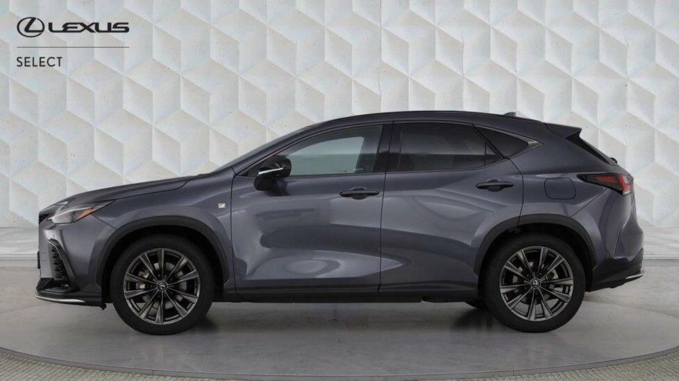 Lexus NX 2.5 450H 18.1Kwh Premium E-cvt 4Wd Euro 6 Ss 5 Brown #4