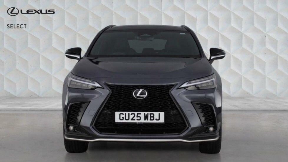 Lexus NX 2.5 450H 18.1Kwh Premium E-cvt 4Wd Euro 6 Ss 5 Brown #2