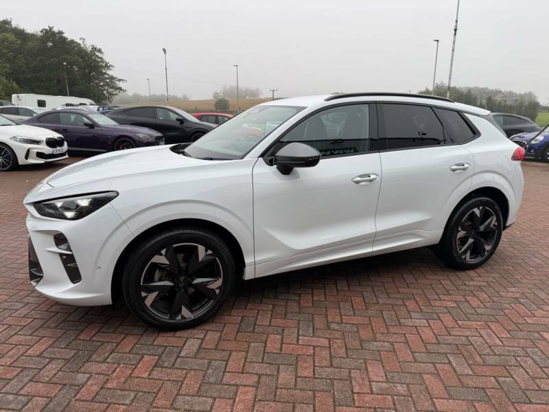 Cupra Terramar 1.5E Tsi 150 V2 White #4