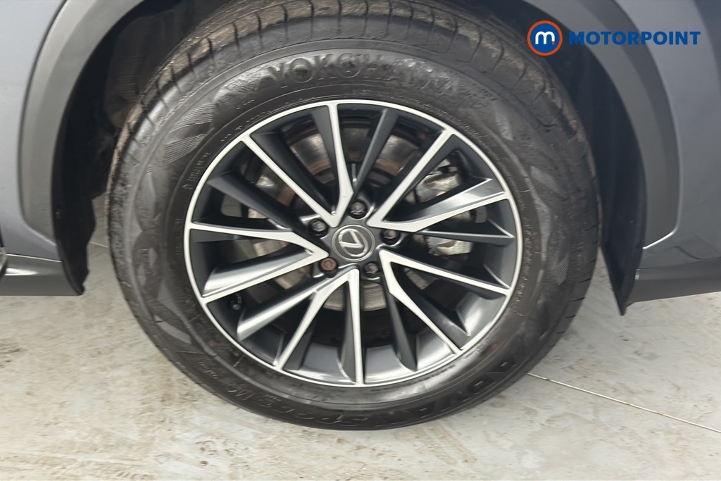 Lexus NX 450H Plus Grey #40