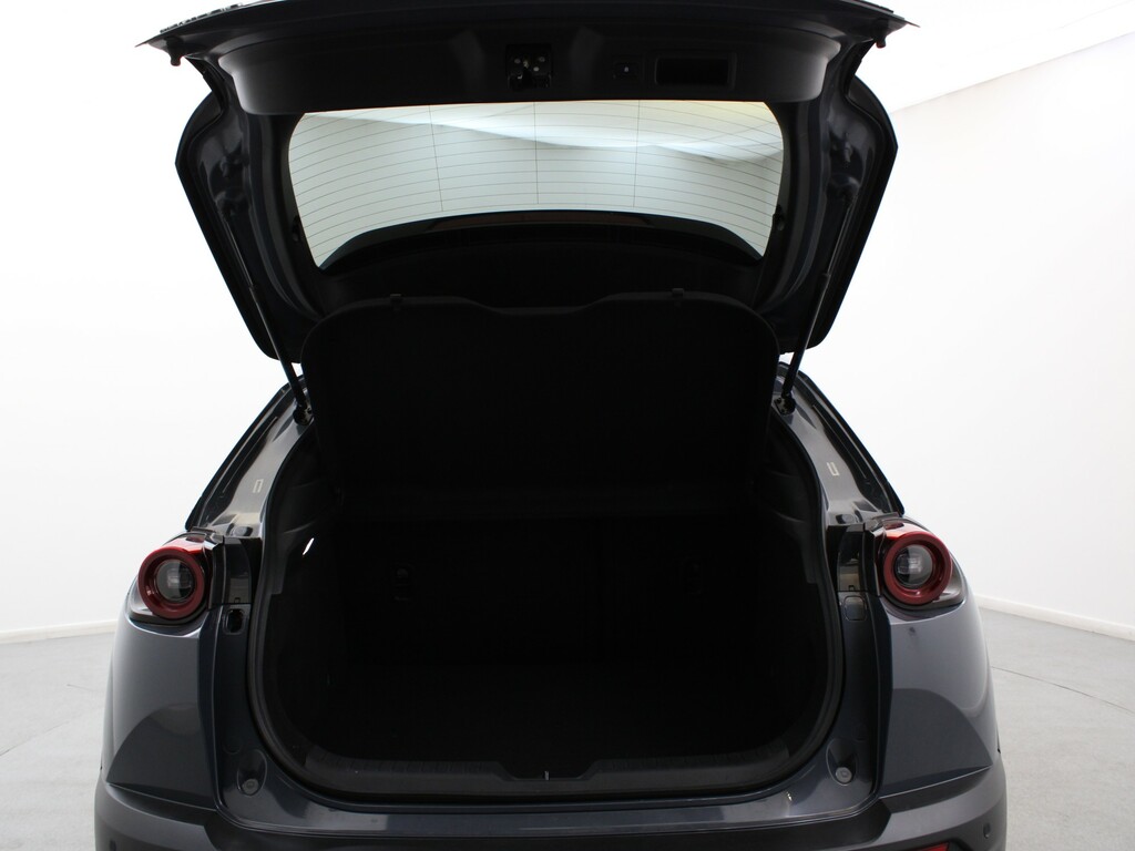 Mazda MX-30 Suv Silver #40