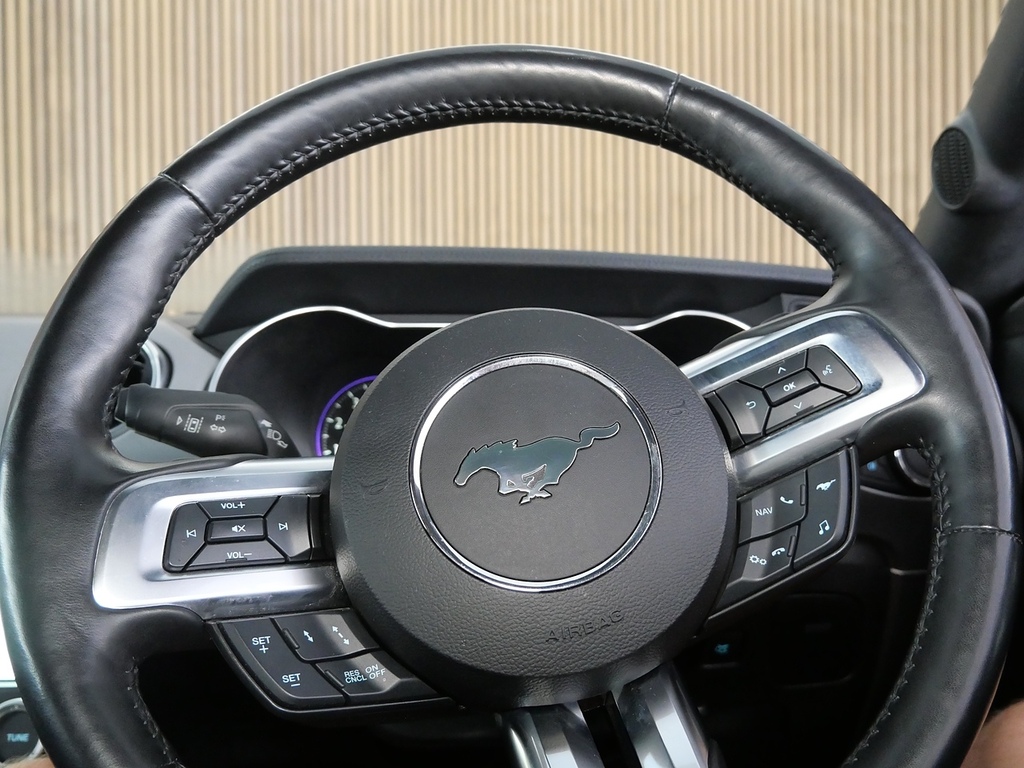 Ford Mustang Black #29