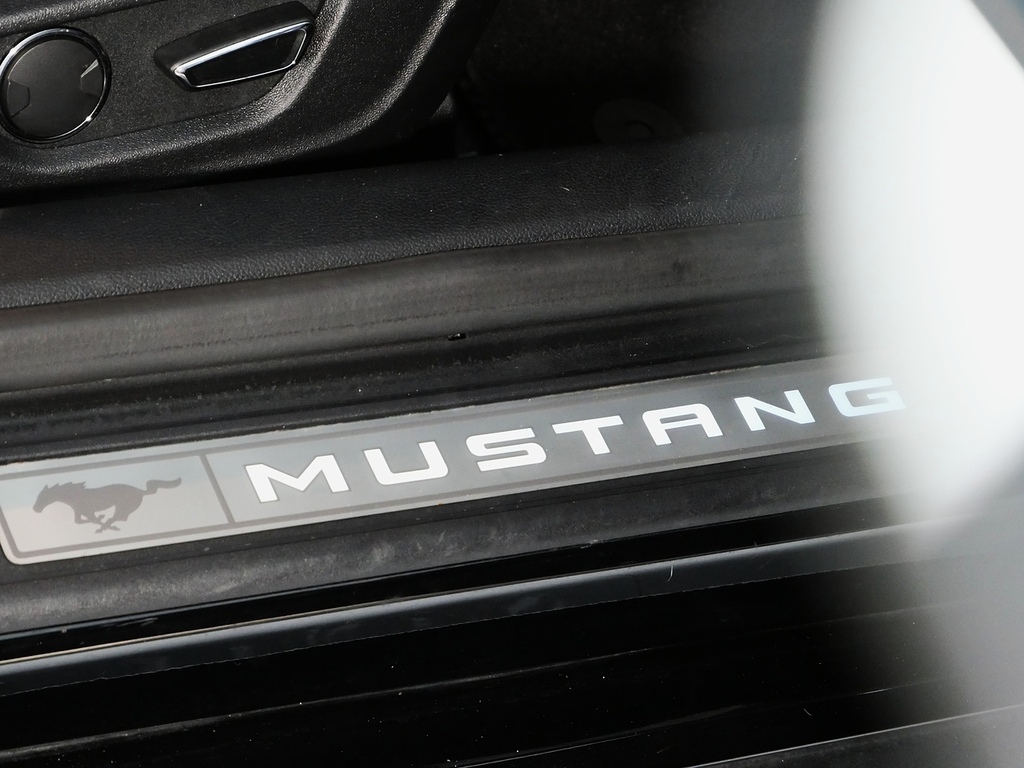 Ford Mustang Black #37